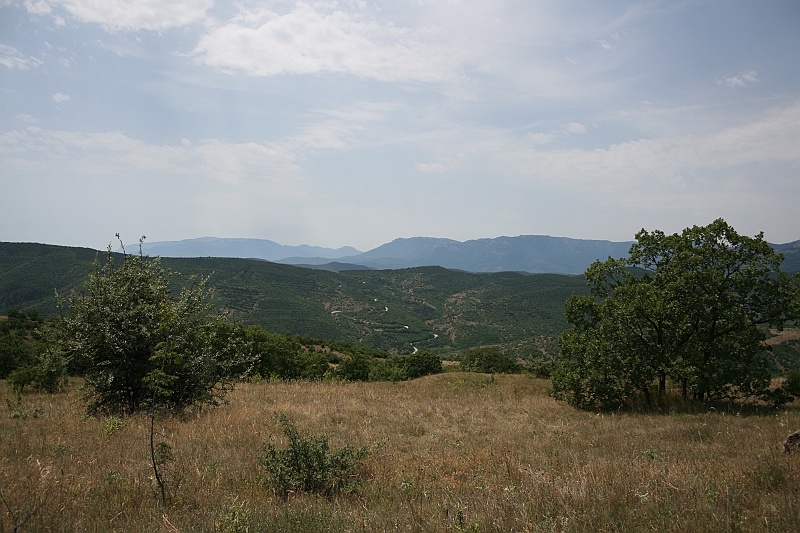 Original image